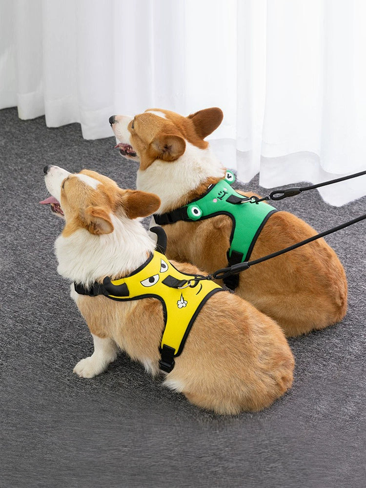 Small to Medium Dog Harness