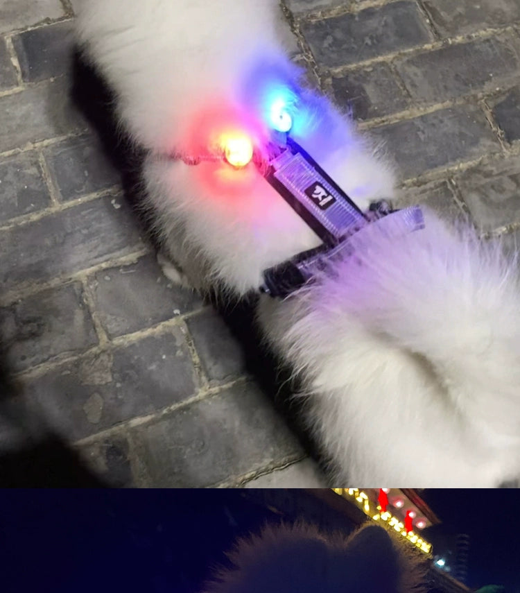 Travel Handy Gadget Charging Waterproof Luminous Dog Walking Collar