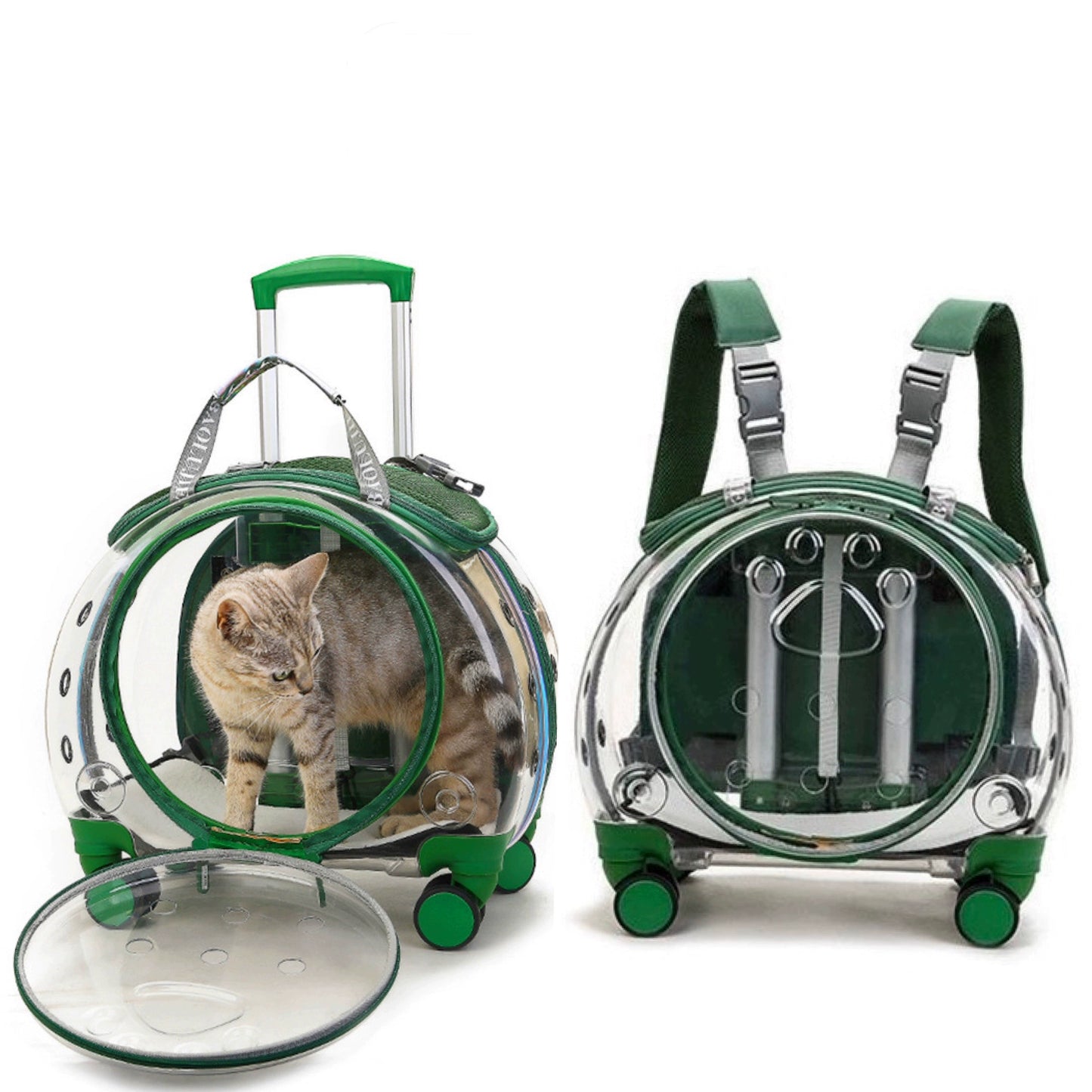 Trolley Case Portable Panoramic Transparent Backpack Cat