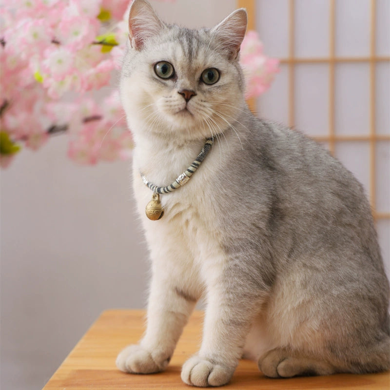 Cat Collar with Bell