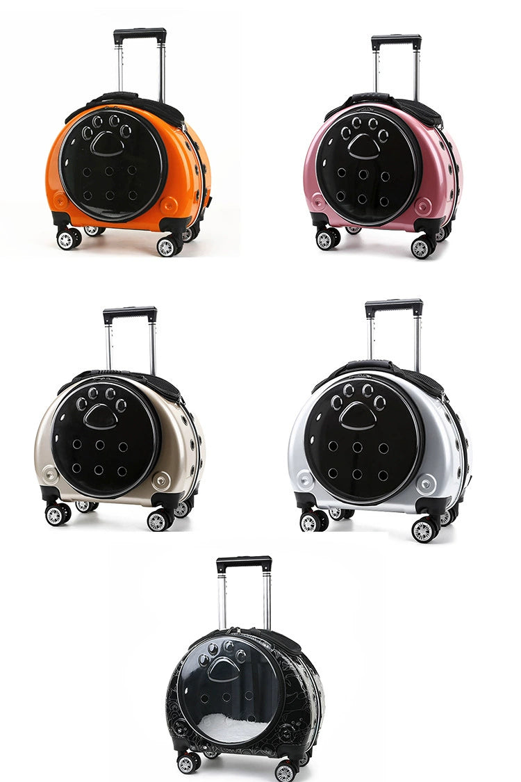 Trolley Case Portable Panoramic Transparent Backpack Cat