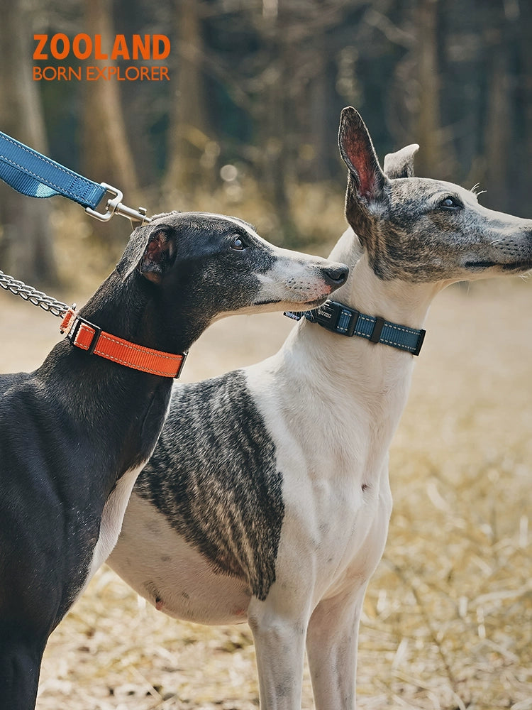 Zooland Domain Half P Chain Dog