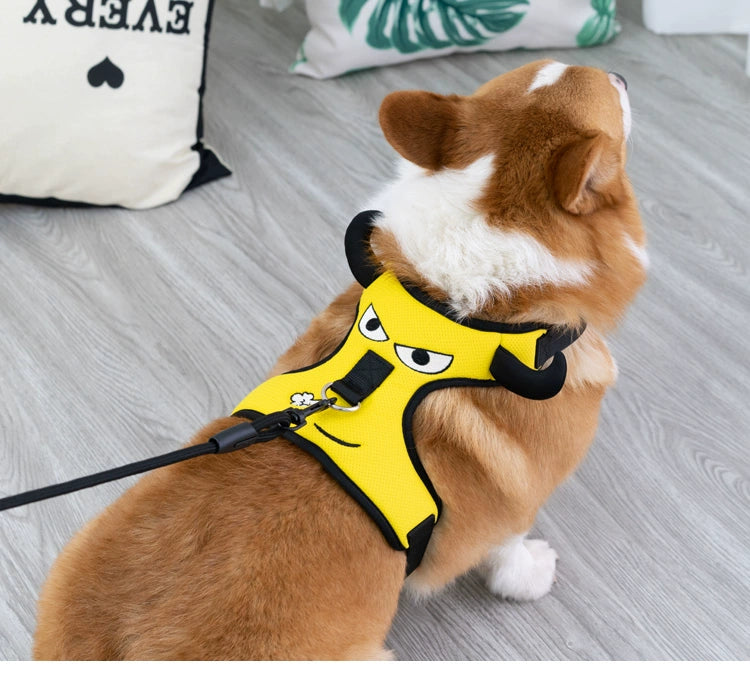 Small to Medium Dog Harness