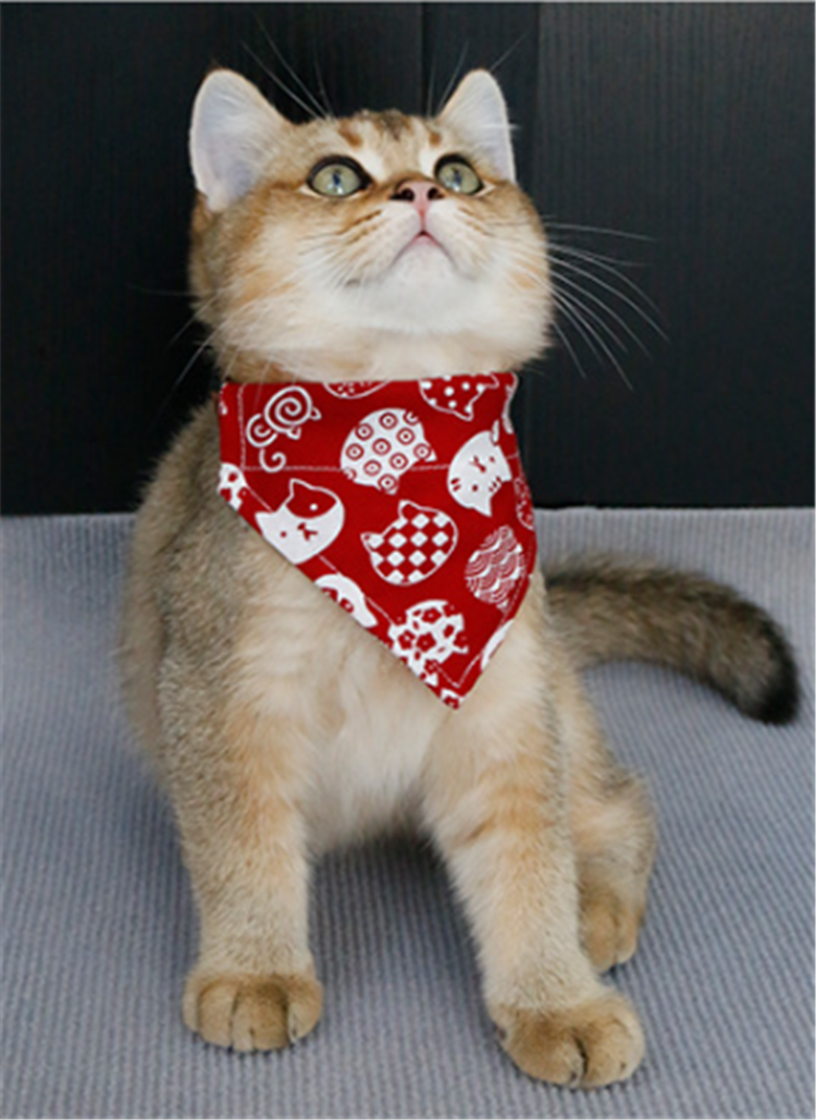 Cat Festive Triangular Binder New Year Kittens New Year Dog Collar Cute Scarf Japanese Style Bib Bib