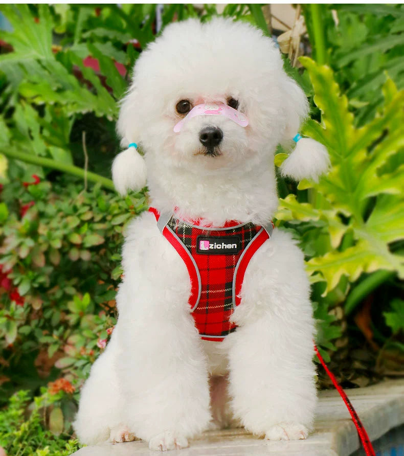 New Arrival Vest Dog Hand Holding Rope Small and Medium-Sized Dogs Teddy Bichon Pomeranian Hand Holding Rope Pet Walking Dog Special Rope