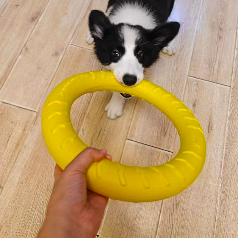 Ring Toy Border Training Dog