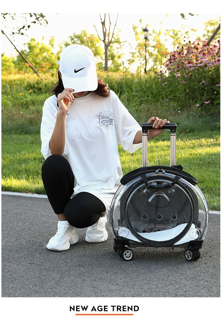 Trolley Case Portable Panoramic Transparent Backpack Cat