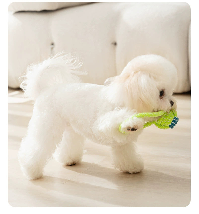 Zihi Relieving Boredom Handy Gadget Toy Bichon Small Dog