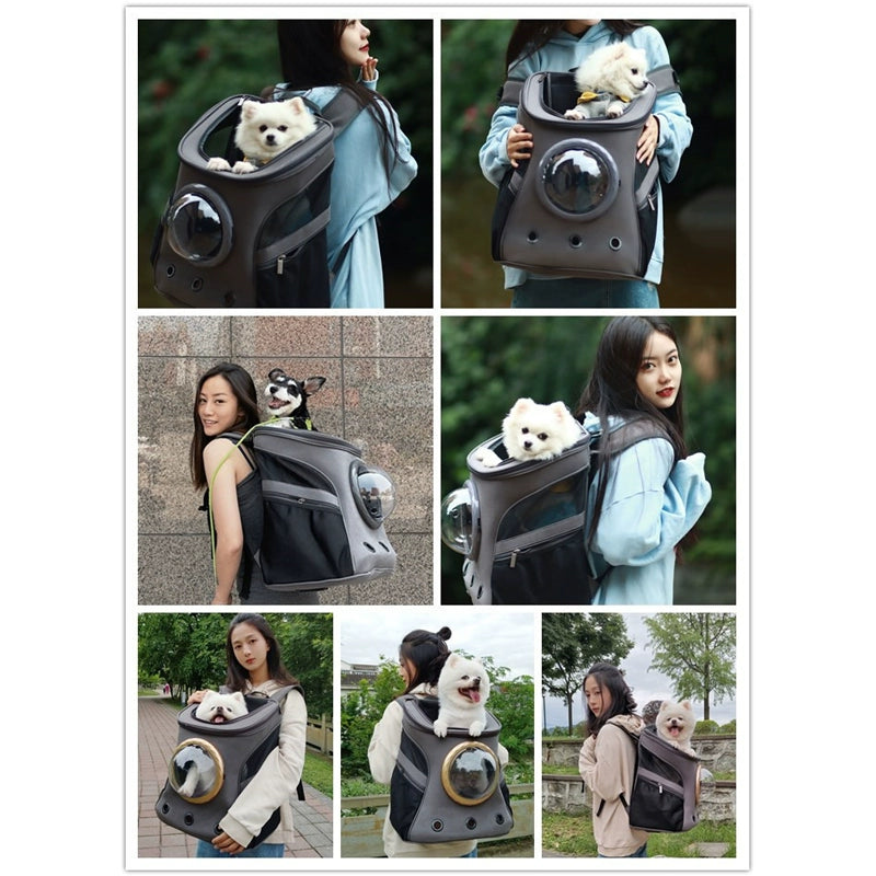 Portable Backpack Book Packaging Corgi and Shiba Inu Large Dog