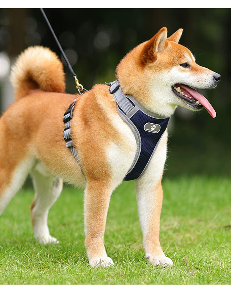 I-Shaped Puppy of Shiba Inu Collar Dog Hand Holding Rope