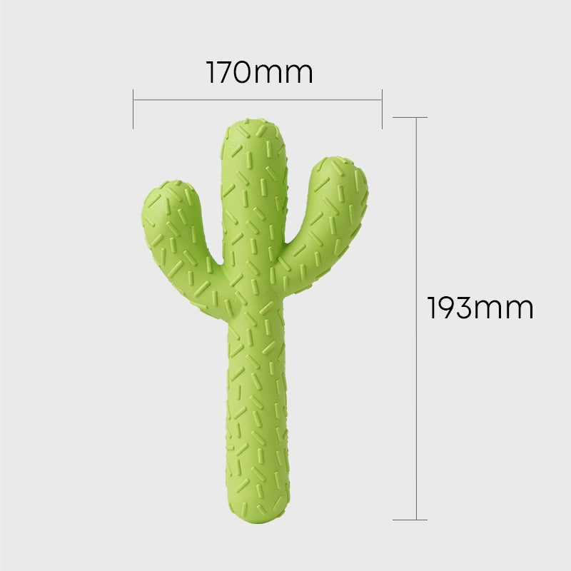 Moovalab Qzee Cactus Molar Rod