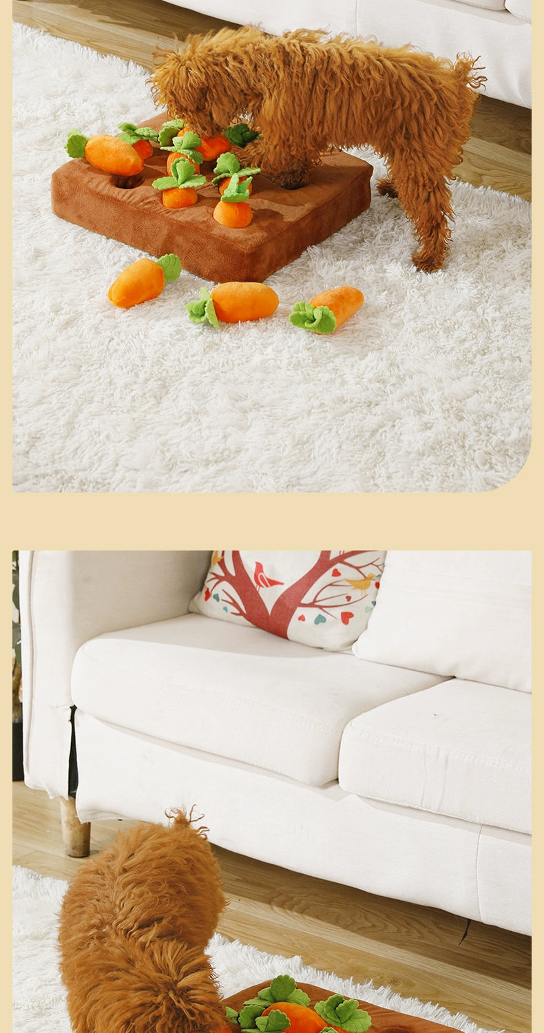 Soft toys for small to medium sized dogs