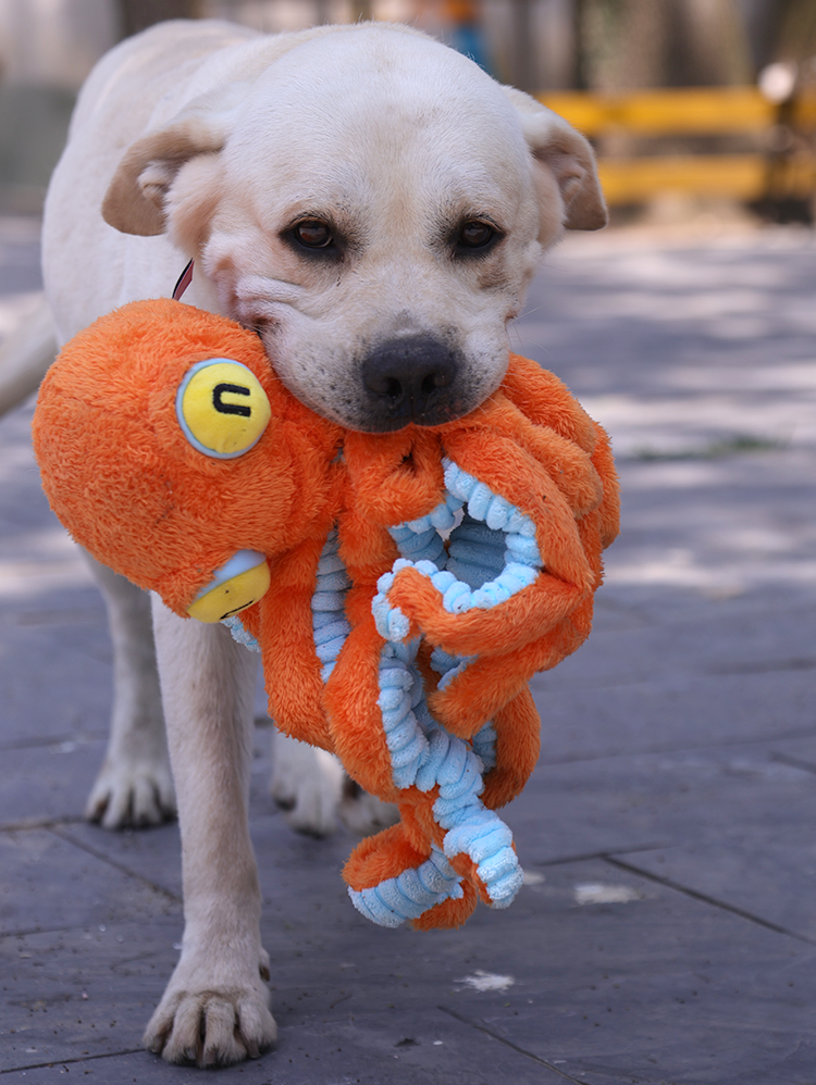 Qzee Octopus Kids Tug of War Relieving Stuffy Pet Toy