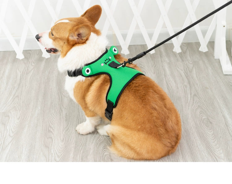 Small to Medium Dog Harness