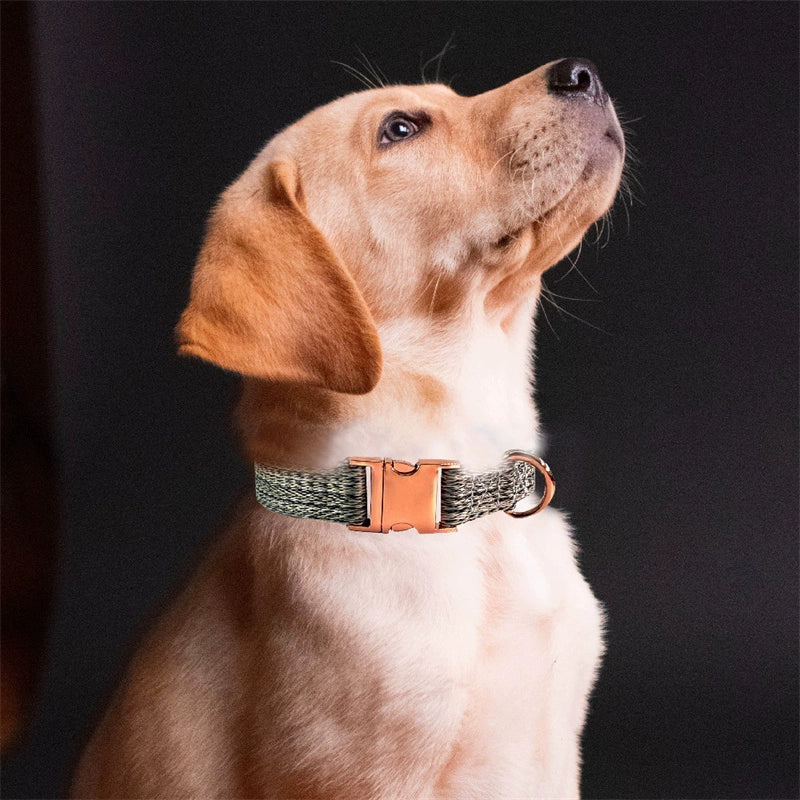 Lettering Anti-Lost Puppy Collar and Leash