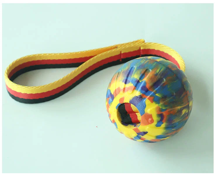 Pet Training Ball Elastic Single Rope Bite-Resistant Large Dog