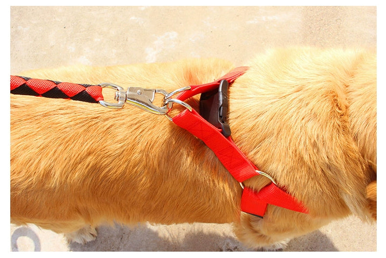 Teddy Large Collar Pet Supplies Dog Hand Holding Rope