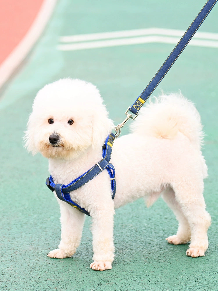 Dog harness for small dogs