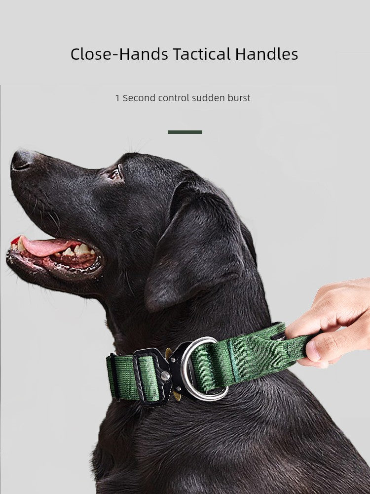 Large Dog Collar