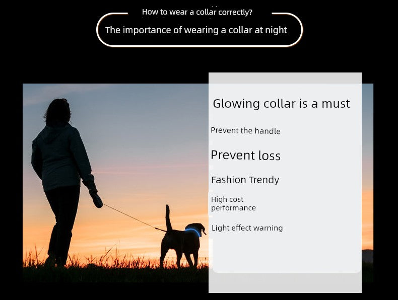 Night Glowing Collar