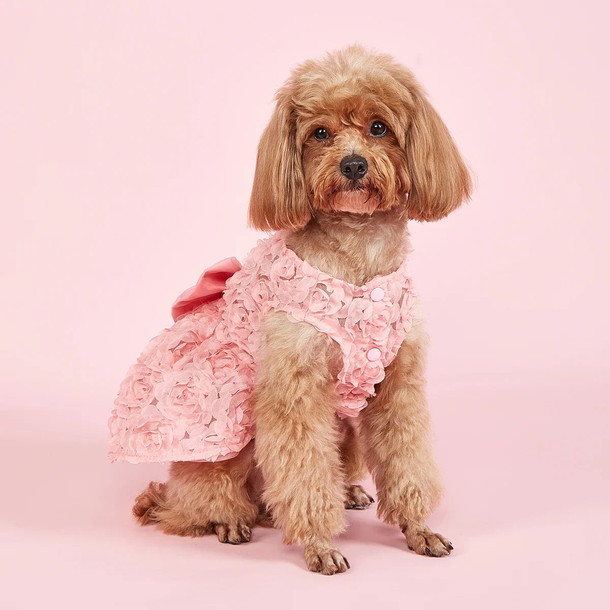 Dog Princess Dress Embroidered Flower Pet Pink Bowknot Princess Clothes Puppy Pet Spring Summer Dresses