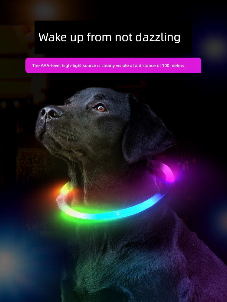 Luminous Night Running Light Big and Small Dogs Anti-Lost Dog