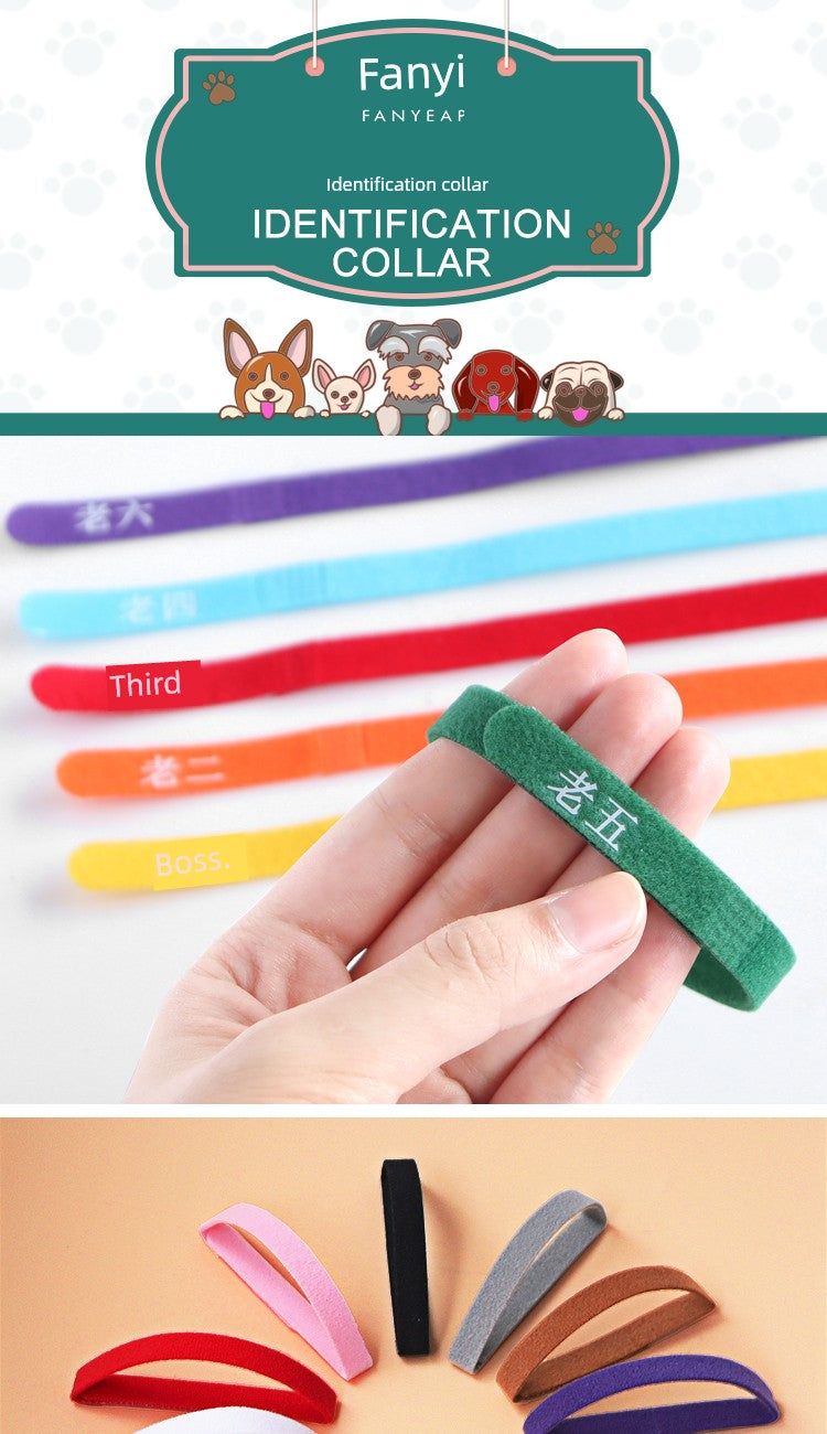 Pet Collar/Identification Newborn Kittens or Puppies