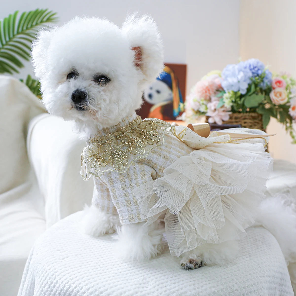 1PC Pet Clothing Spring and Autumn Dream Starry Wedding Dress Princess Dress Suitable for Small and Medium sized Dogs