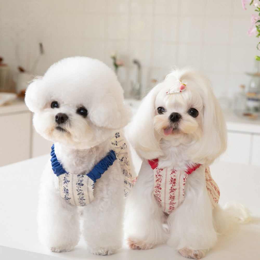 Pet Floral Suspender Dress Short Cute Pet Dress Cat Dog Teddy Dress INS Pet Clothing Puppy Clothes Dog Dresses for Small Dogs