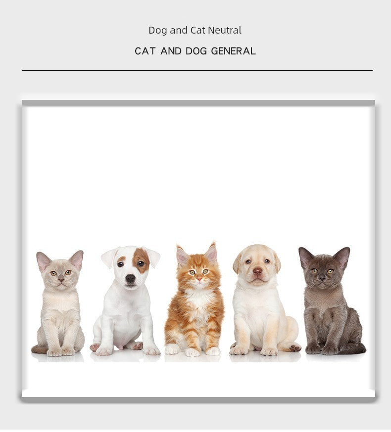 Newborn Pet Identification Collars for Puppies or Kittens