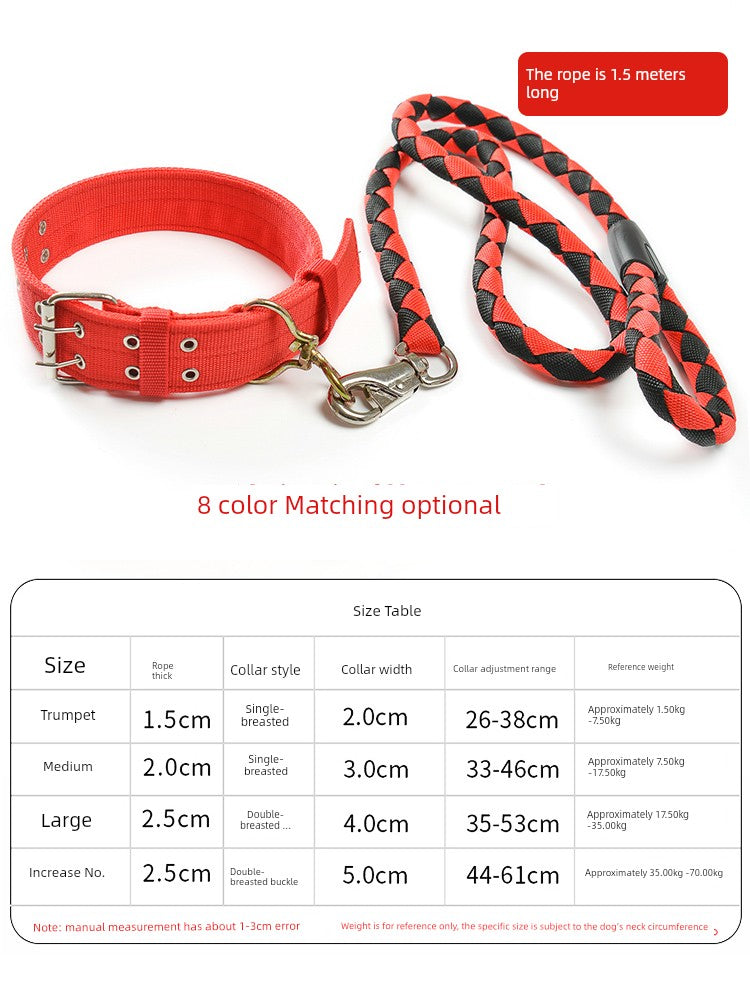 Medium-Sized Dog Hand Holding Rope