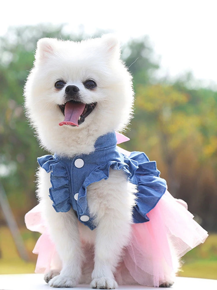 Summer Dog Clothes Pet Denim Dresses for Small Dogs Pomeranian Chihuahua Puppy Kitten Skirt Princess Dress Pink Girls Clothing