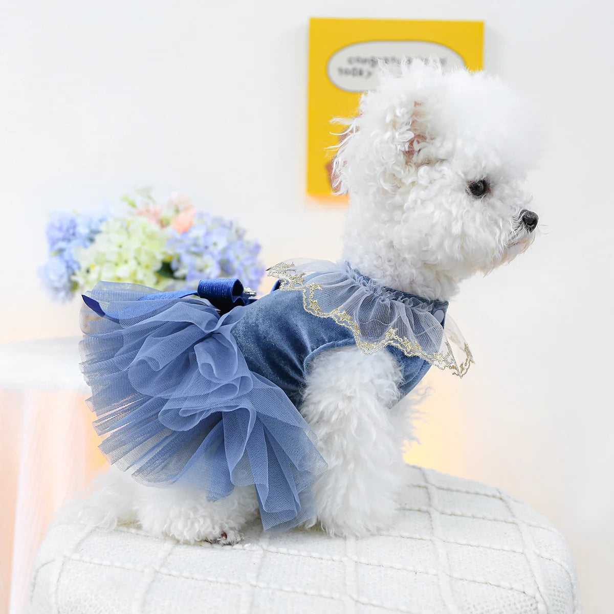 1PC Pet Clothing Spring and Autumn Blue Bow Royal Dress Dress Suitable for Small and Medium sized Dogs