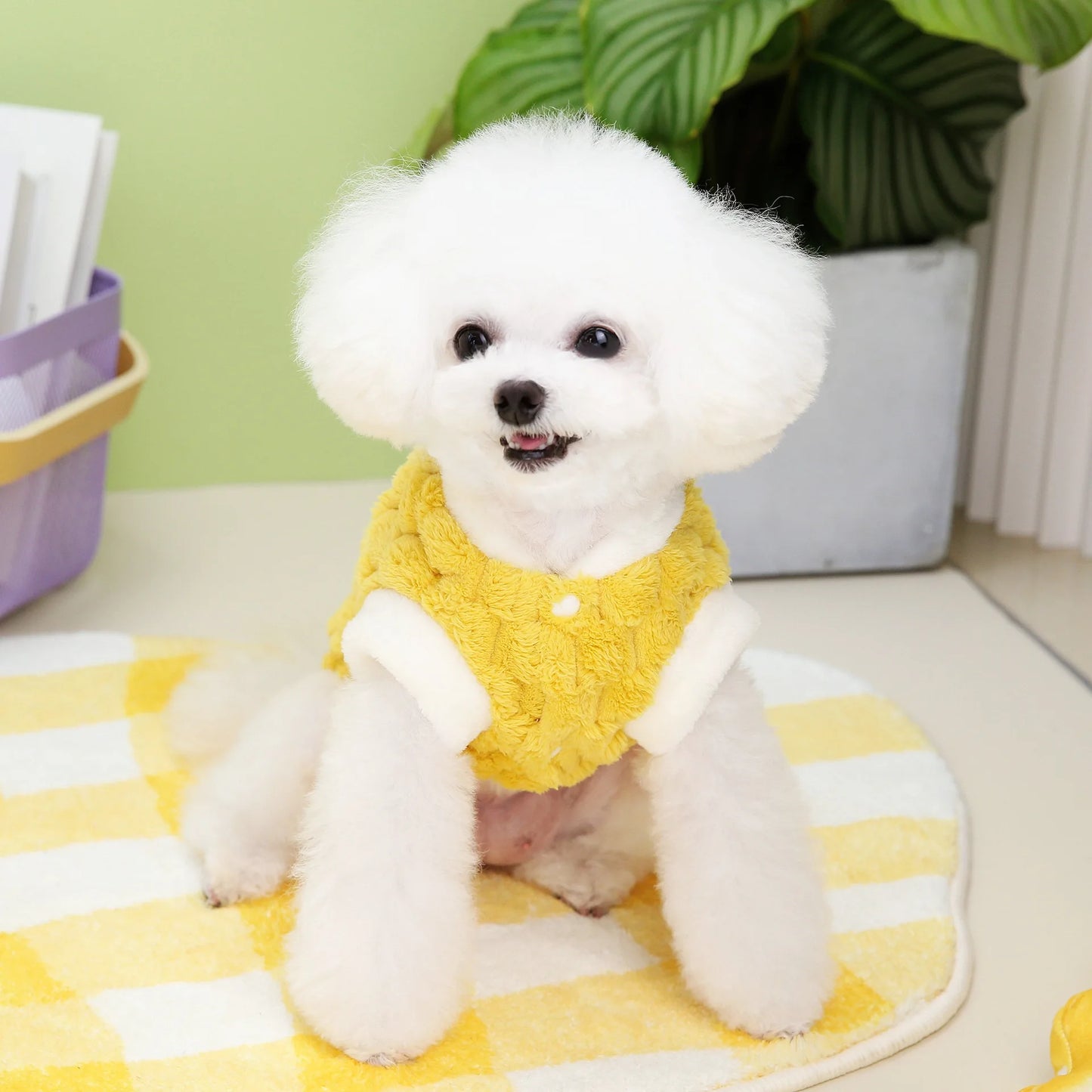 Dog Sweater Plush Warm Pet Clothes for Small Medium Dogs Cats Puppy Vest Fashion Dog Coat Chihuahua Yorkie Teddy Bichon Clothing