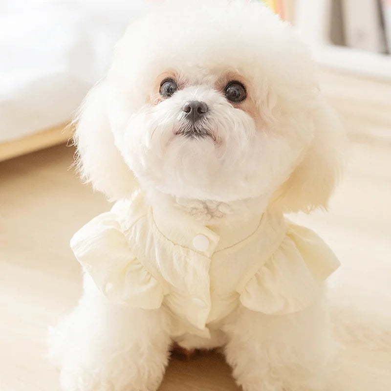 Summer Pet Princess Dog Clothes 2024 New Luxury Dog Dress Cute Solid Puppy Skirt Soft Cat Wedding Dress Pet Costumes Dog Clothes