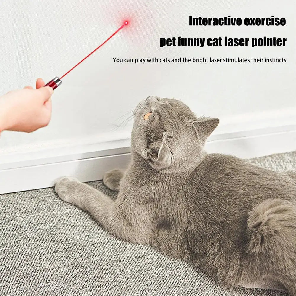 Pointeur laser pour chats Jouet laser interactif pour chat Jouets d'enrichissement pour animaux de compagnie pour chat d'intérieur pour jouer et faire de l'exercice