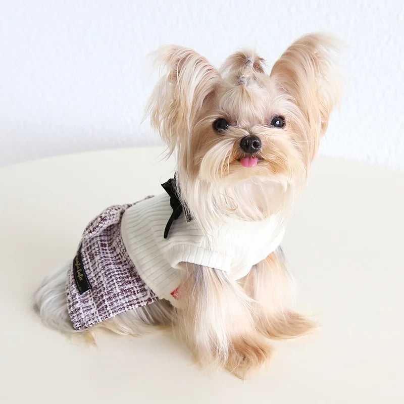 Pet Autumn and Winter Knitted Patchwork Coarse Woolen Dress New Woolen Dress Dog and Cat Clothing Puppy Clothes for Small Dogs