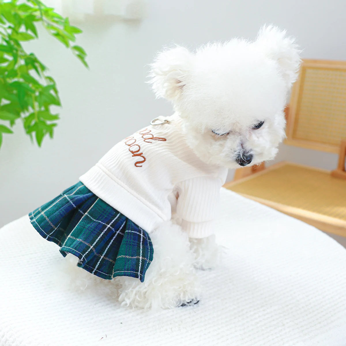 1PC Pet Apparel Dog Spring and Autumn Knitted Pleated Dress Princess Dress Belt Pulling Rope Buckle For Small Medium Dogs