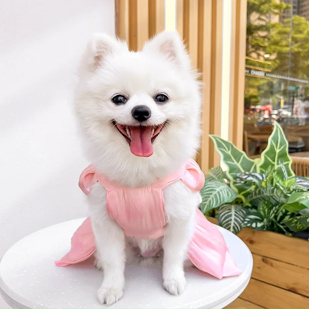 Pet Wedding Dress Dress Bow Skirt Dog Cat Clothing Pull Teddy Bears Spring/Summer Puppy Clothes Dog Clothes for Small Dogs