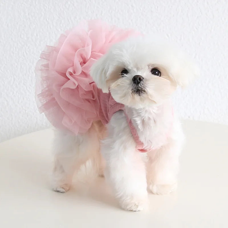 Elegant Pet Puff Skirt Dog Dance Skirt Spring/Summer New Dog Strap Dress Cat Clothing Pet Clothing Cute Bottom Skirt