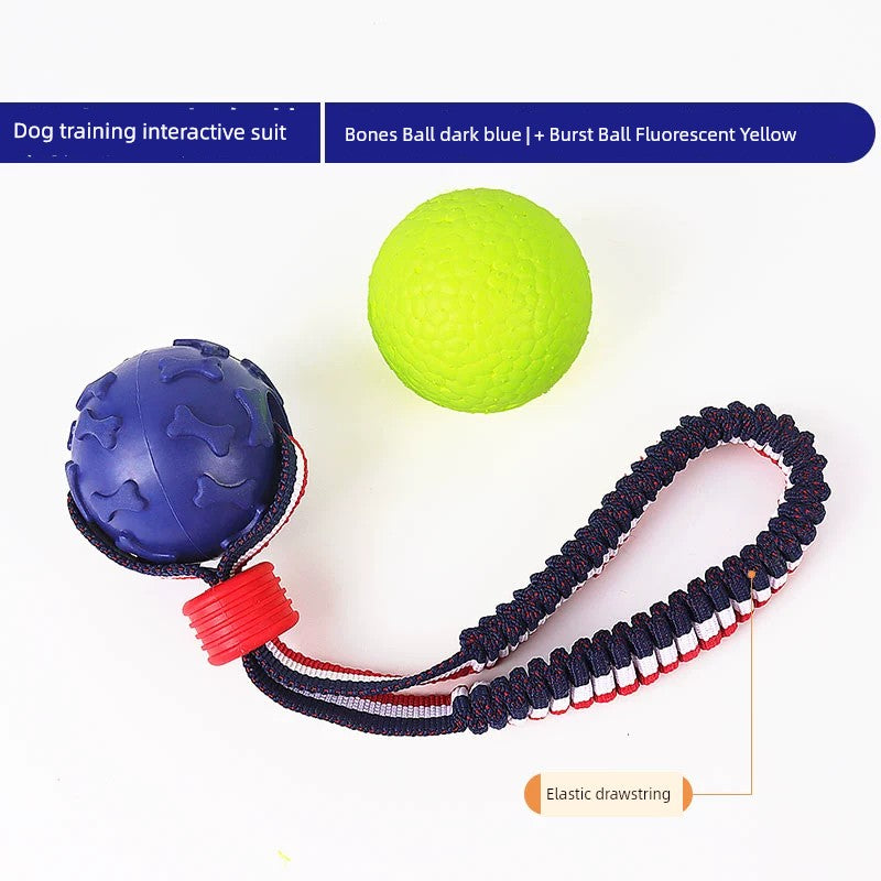 Interactive Dog with Tetherball Pet Supplies