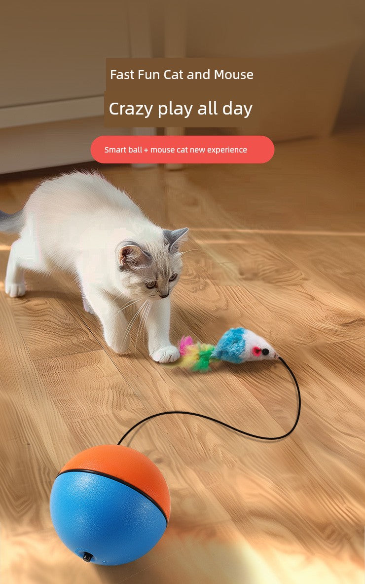 Self-Hi Relieving Stuffy Consumption Mouse Exercise Cat Toy