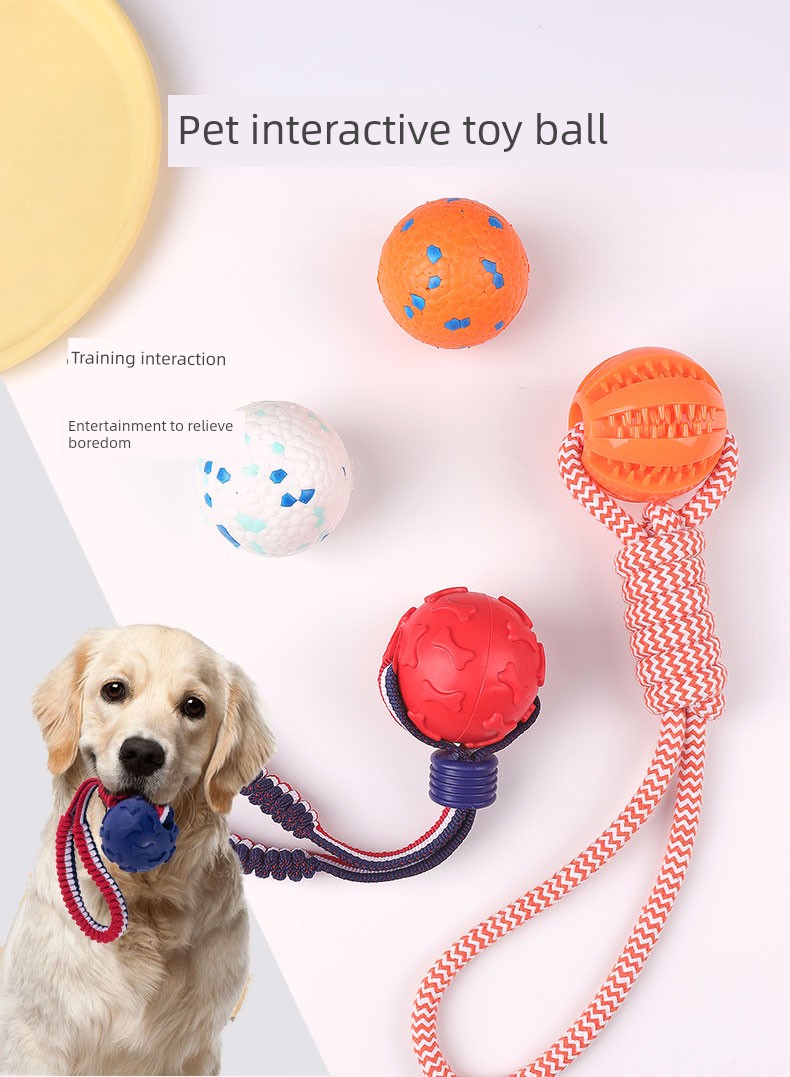 Interactive Dog with Tetherball Pet Supplies