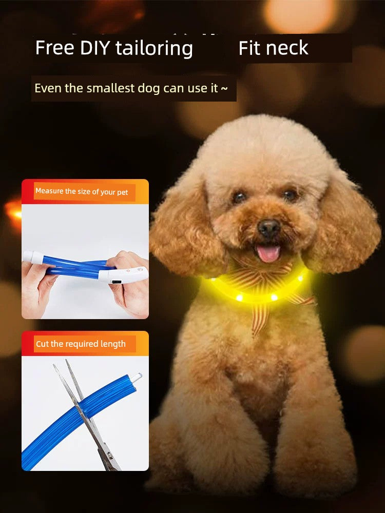 Luminous Circle Small Size Dogs Pet Dog