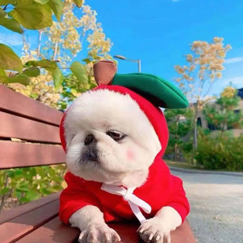 Cute Fruit Dog Clothes Reindeer Small Dogs Hoodies Warm Pet Clothing Puppy Cat Costume Coat Chihuahua Mouse Cheese Jacket Suit