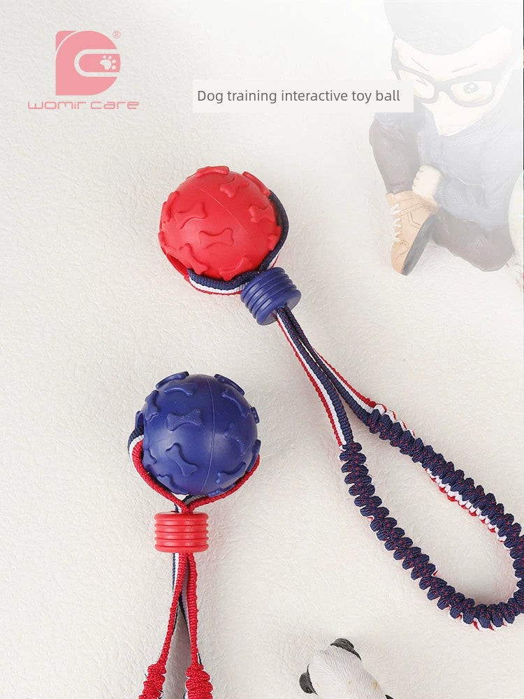 Interactive Dog with Tetherball Pet Supplies