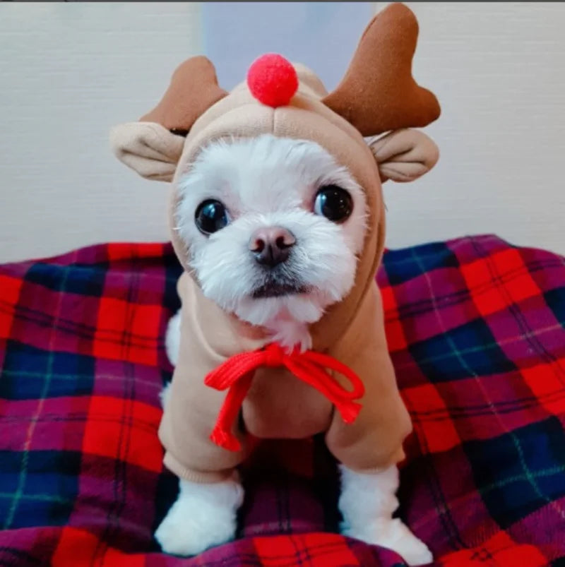 Cute Fruit Dog Clothes Reindeer Small Dogs Hoodies Warm Pet Clothing Puppy Cat Costume Coat Chihuahua Mouse Cheese Jacket Suit