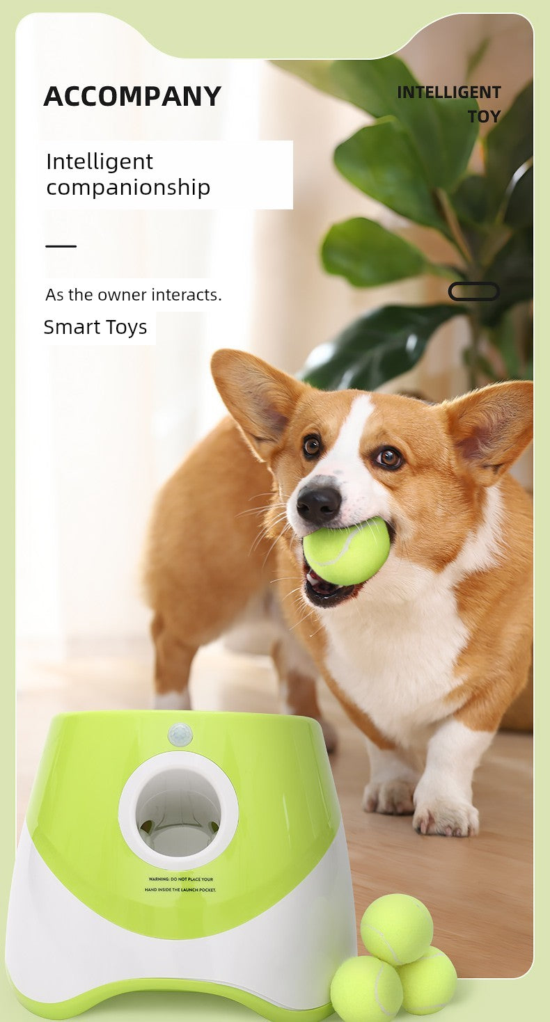 Transmitter Automatic Ball Throwing Pet Dog