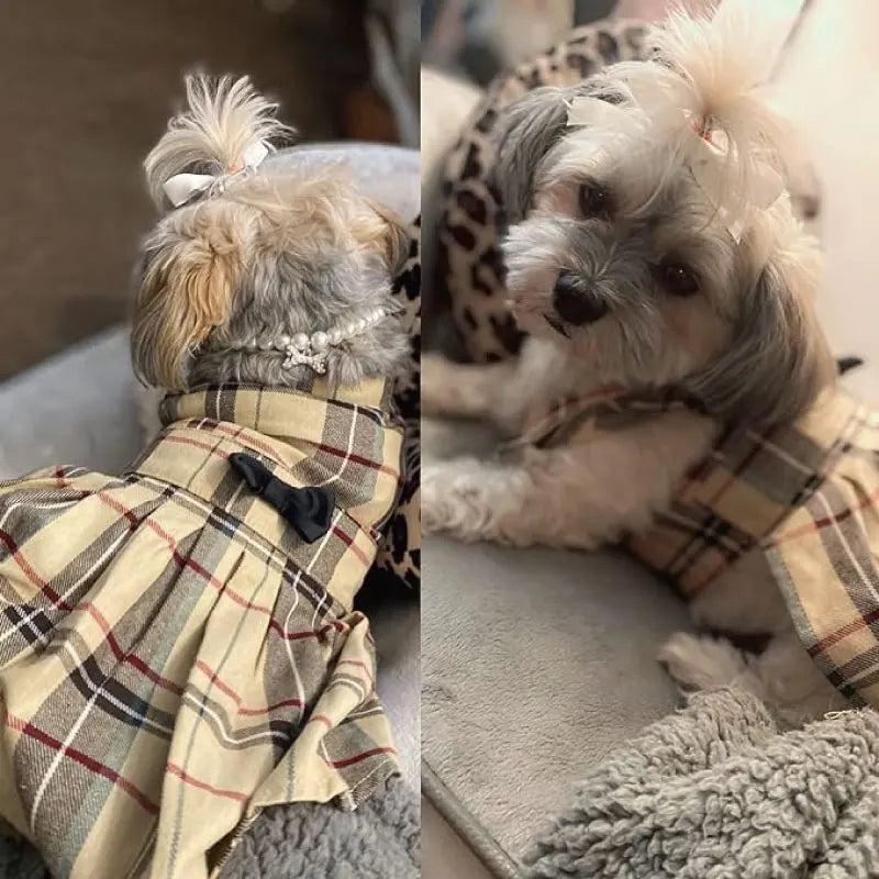 Spring Autumn Pet Apparel Accessories Teddy Puppy Skirt Cute Bow Plaid Dog Dress