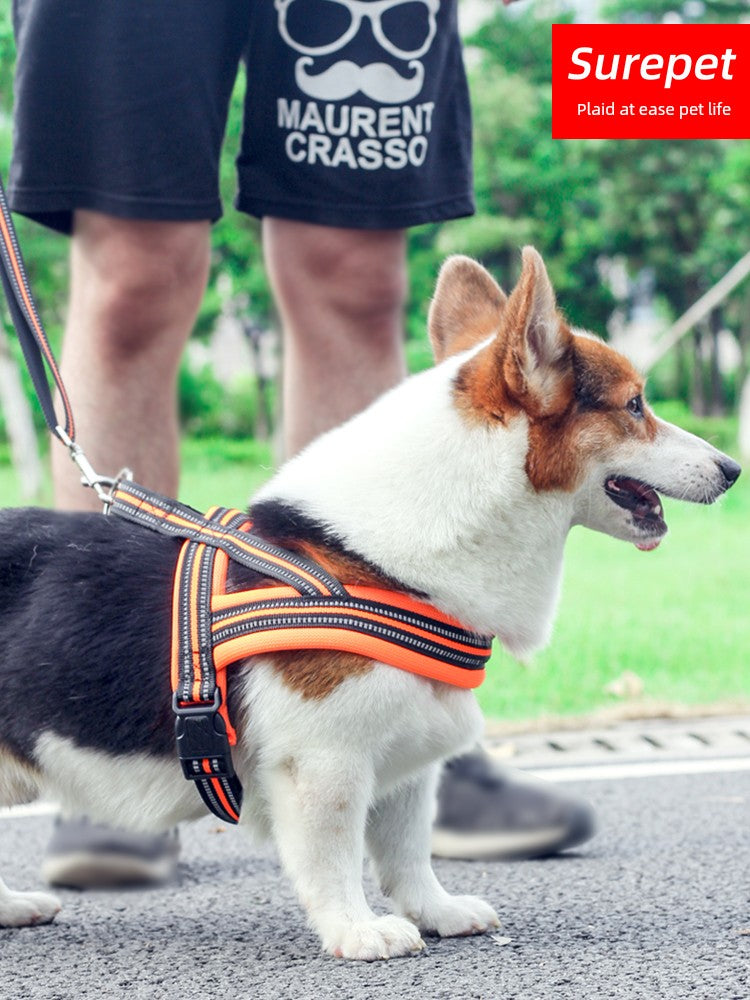 Chest Back Hand Holding Rope Dog Leash Collar